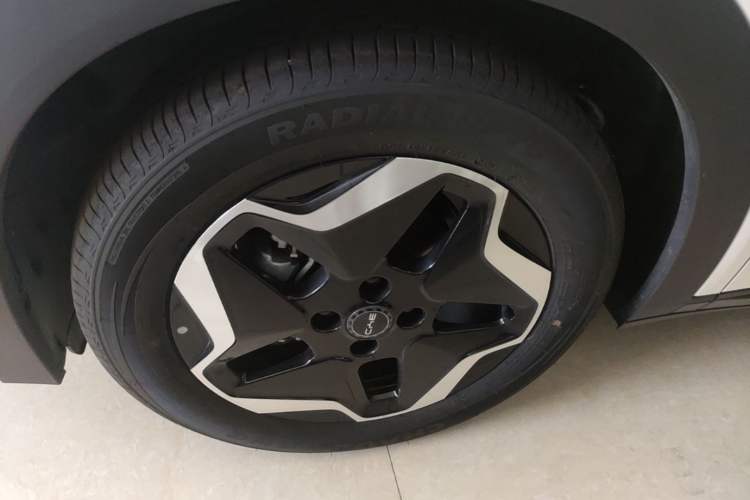 Used BYD Dolphin 2025 Smart Drive Version 420 km Freedom Edition Left Front Wheel Hub