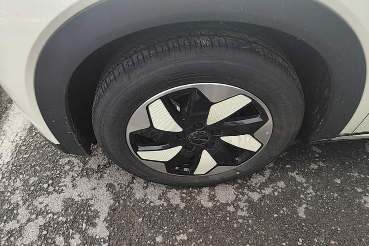 Used BYD Dolphin 2025 420km Free Edition Left Front Wheel Hub