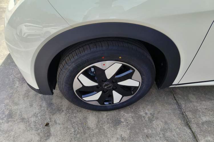 Used BYD Dolphin 2025 420km Free Edition Left Front Wheel Hub