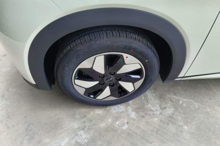 Used BYD Dolphin 2025 420km Free Edition Left Front Wheel Hub
