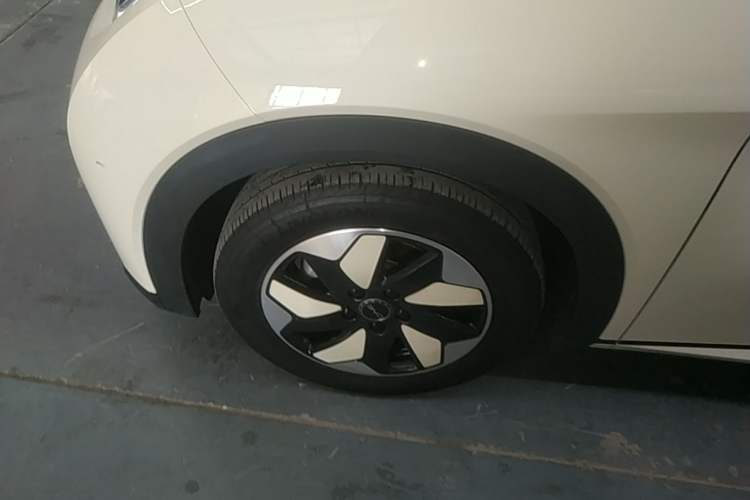 Used BYD Dolphin 2025 420km Free Edition Left Front Wheel Hub