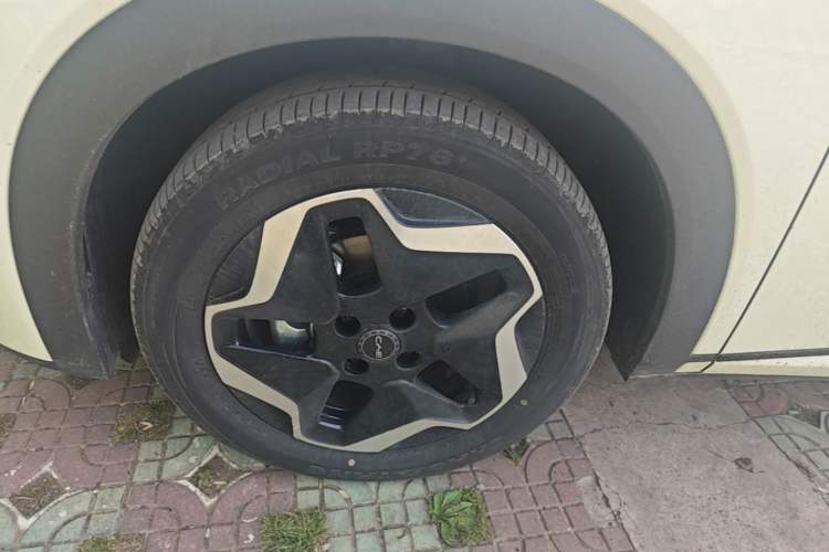 Used BYD Dolphin 2025 Smart Drive Version 420 km Freedom Edition Left Front Wheel Hub