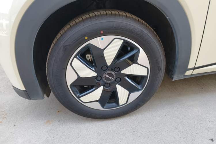 Used BYD Dolphin 2025 420km Free Edition Left Front Wheel Hub