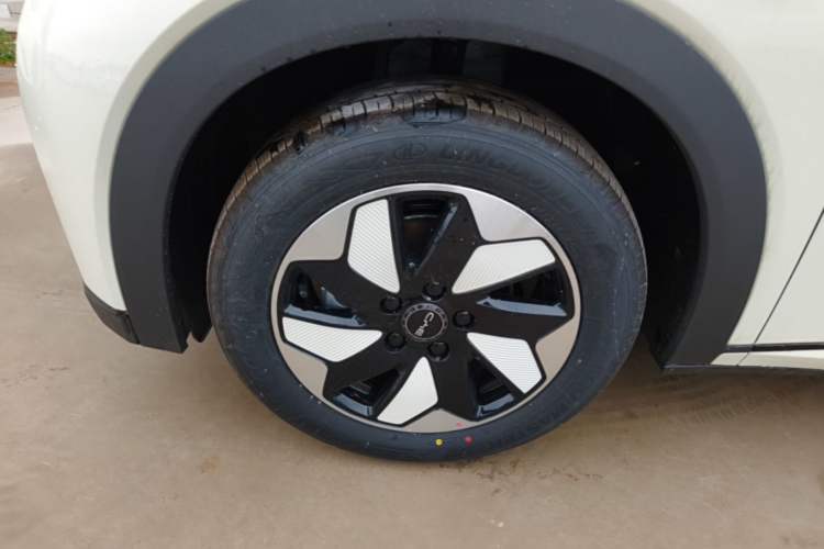 Used BYD Dolphin 2025 420km Free Edition Left Front Wheel Hub