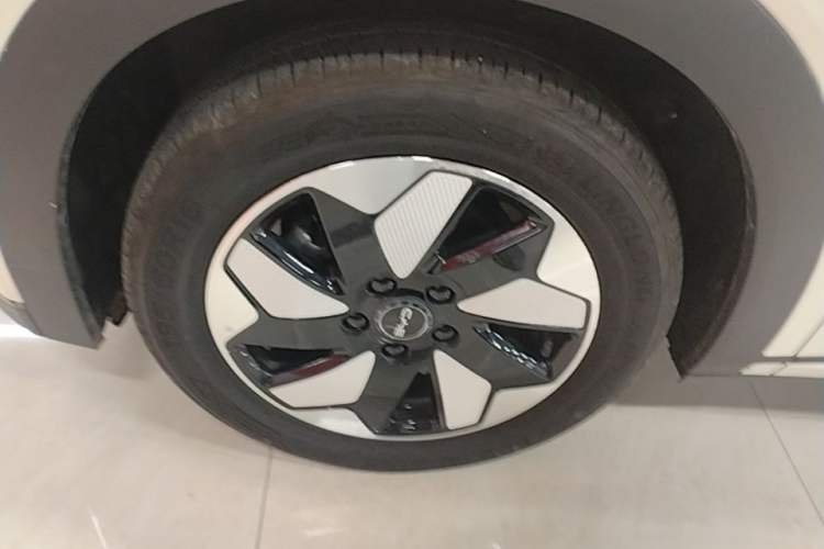 Used BYD Dolphin 2025 420km Free Edition Left Front Wheel Hub