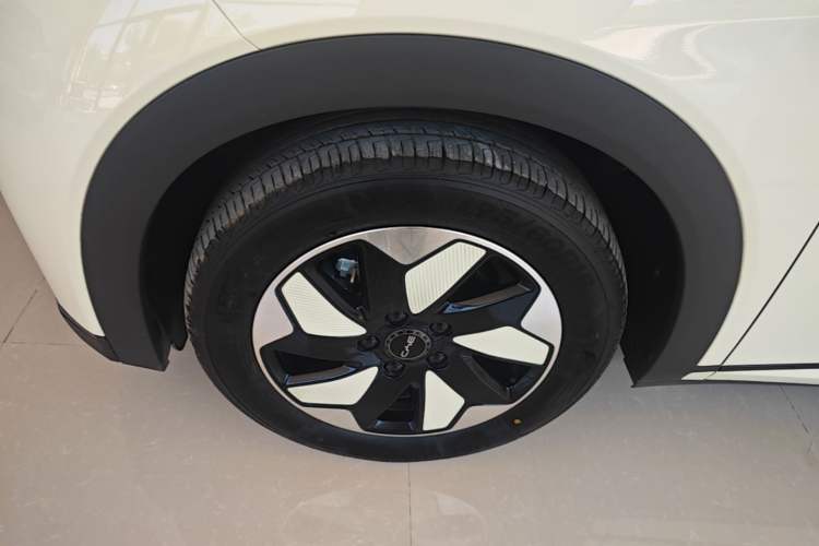 Used BYD Dolphin 2025 420km Free Edition Left Front Wheel Hub