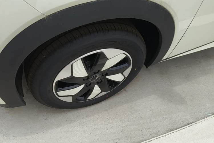 Used BYD Dolphin 2025 420km Free Edition Left Front Wheel Hub