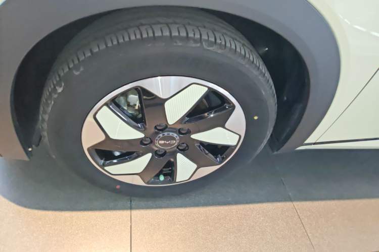 Used BYD Dolphin 2025 420km Free Edition Left Front Wheel Hub