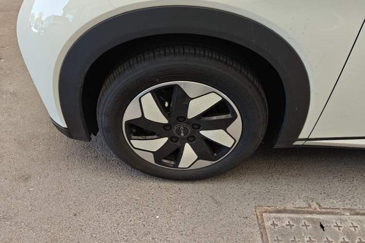 Used BYD Dolphin 2025 420km Free Edition Left Front Wheel Hub
