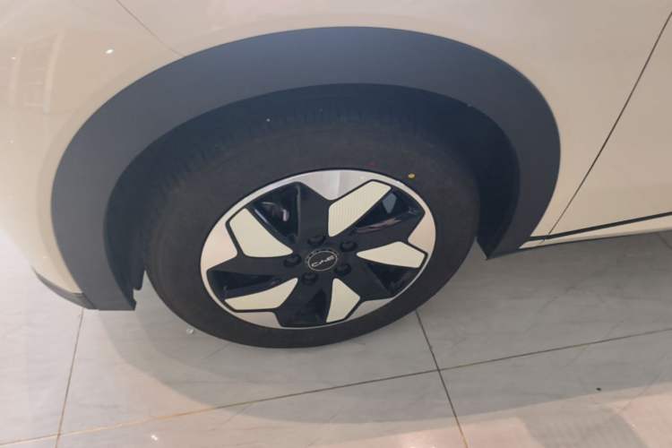 Used BYD Dolphin 2025 420km Free Edition Left Front Wheel Hub