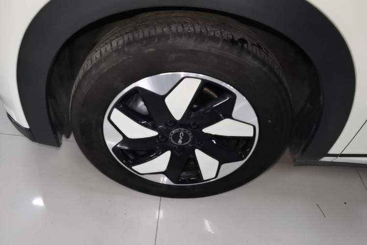 Used BYD Dolphin 2025 420km Free Edition Left Front Wheel Hub