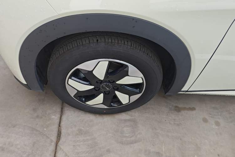 Used BYD Dolphin 2025 420km Free Edition Left Front Wheel Hub