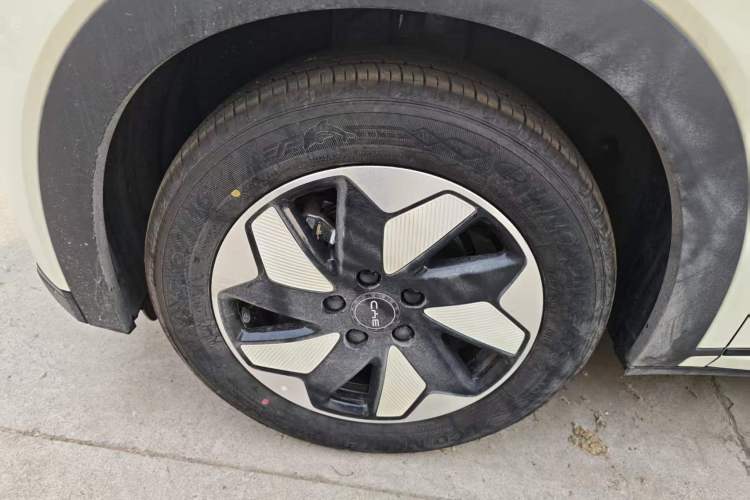 Used BYD Dolphin 2025 420km Free Edition Left Front Wheel Hub