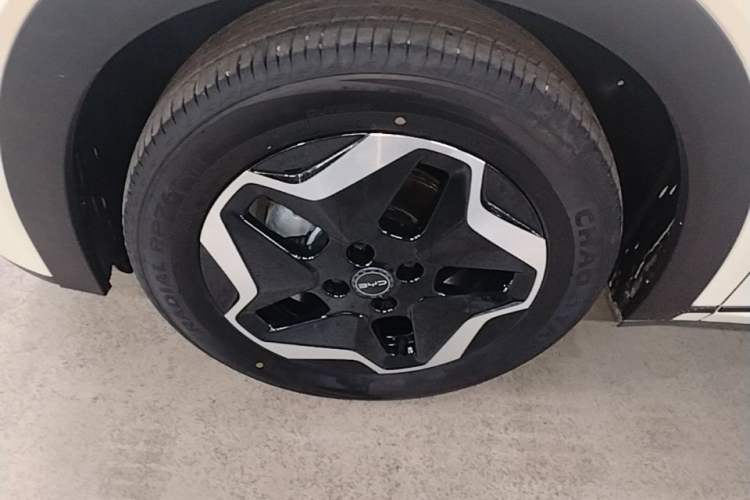 Used BYD Dolphin 2025 Smart Drive Version 420 km Freedom Edition Left Front Wheel Hub