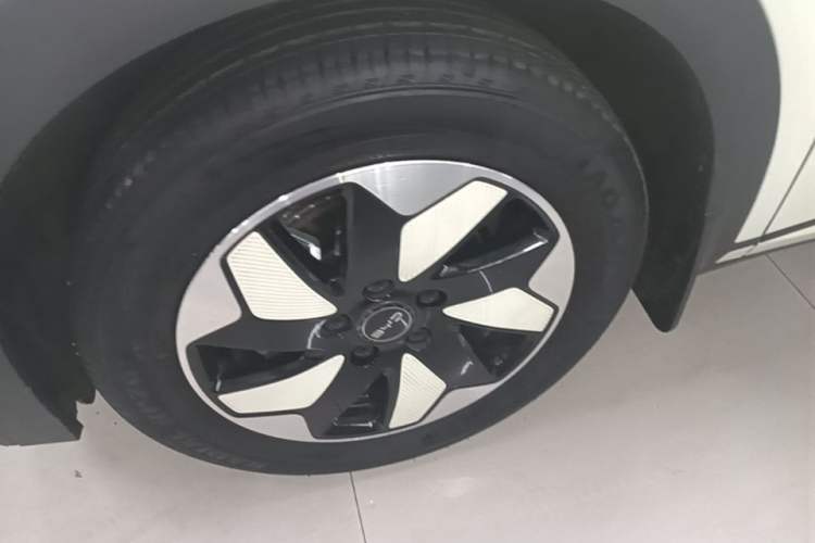 Used BYD Dolphin 2025 420km Free Edition Left Front Wheel Hub
