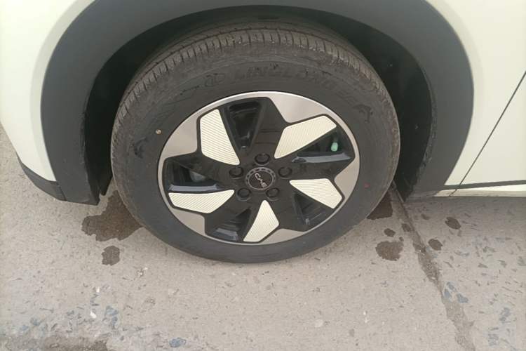 Used BYD Dolphin 2025 420km Free Edition Left Front Wheel Hub
