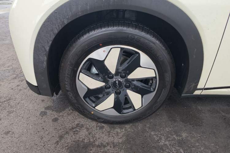 Used BYD Dolphin 2025 420km Free Edition Left Front Wheel Hub