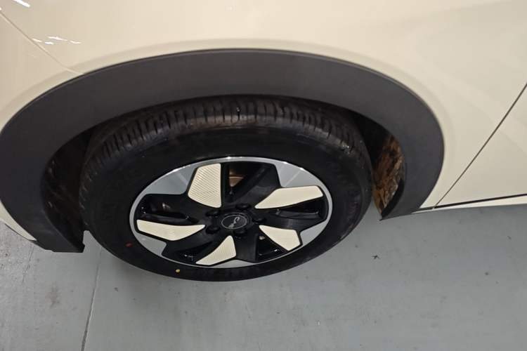 Used BYD Dolphin 2025 420km Free Edition Left Front Wheel Hub
