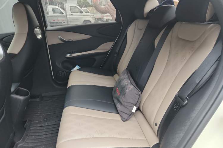 Used BYD Dolphin 2025 420km Free Edition Left Rear Seat