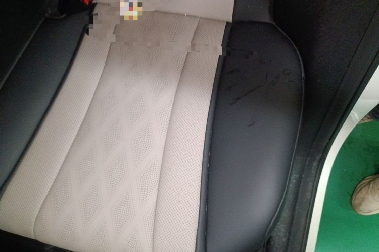 Used BYD Dolphin 2025 420km Free Edition Left Rear Seat