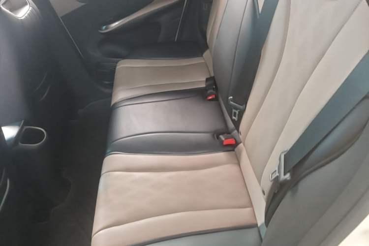 Used BYD Dolphin 2025 420km Active Version Left Rear Seat