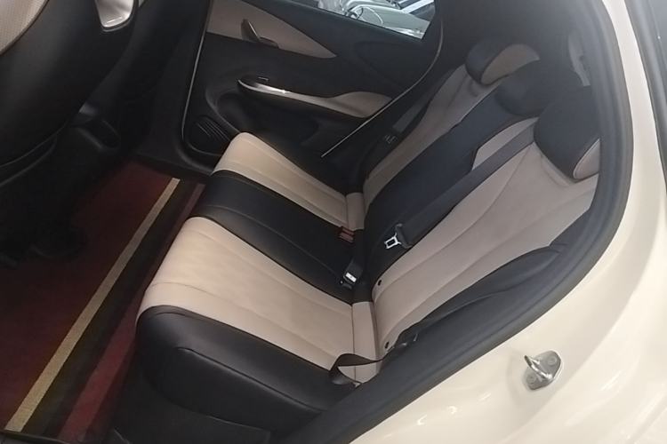 Used BYD Dolphin 2025 Smart Drive Version 420 km Freedom Edition Left Rear Seat