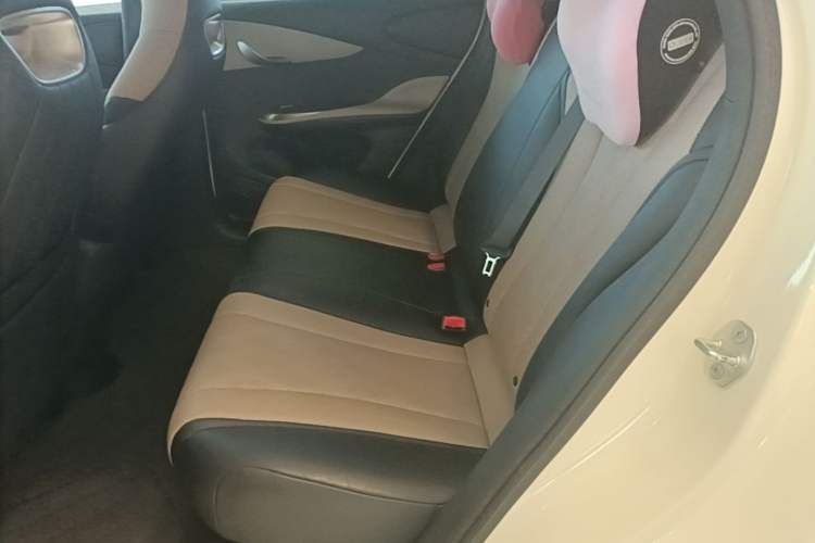 Used BYD Dolphin 2025 420km Active Version Left Rear Seat