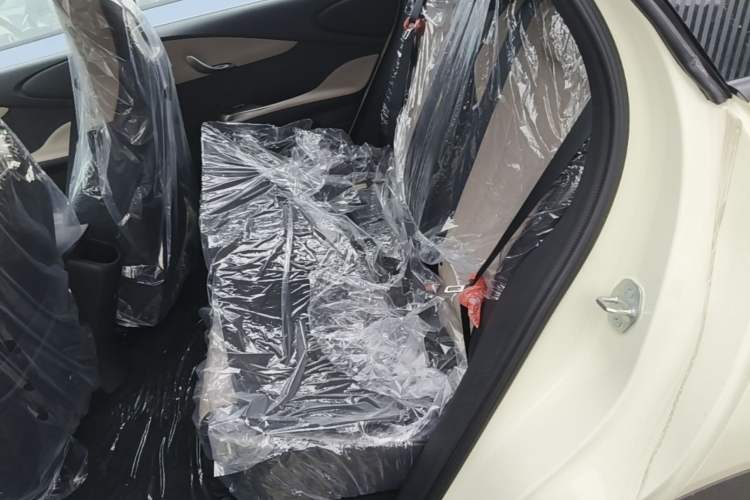 Used BYD Dolphin 2025 420km Free Edition Left Rear Seat