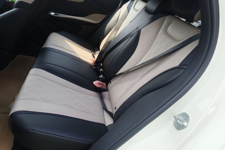 Used BYD Dolphin 2025 420km Free Edition Left Rear Seat