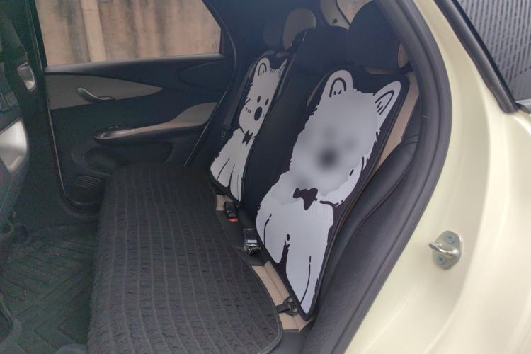 Used BYD Dolphin 2025 420km Active Version Left Rear Seat