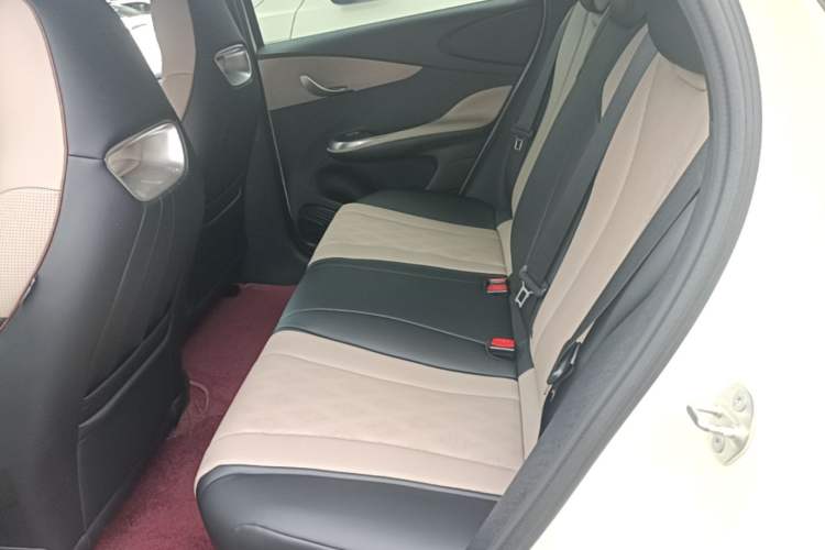 Used BYD Dolphin 2025 420km Active Version Left Rear Seat