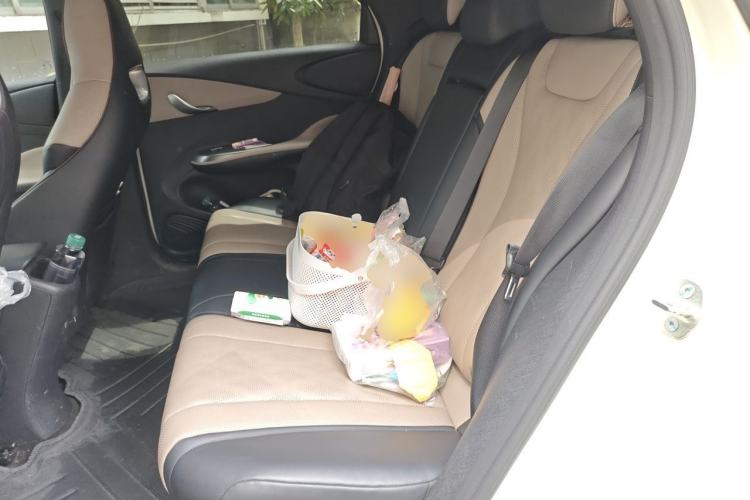 Used BYD Dolphin 2025 420km Fashion Edition Left Rear Seat