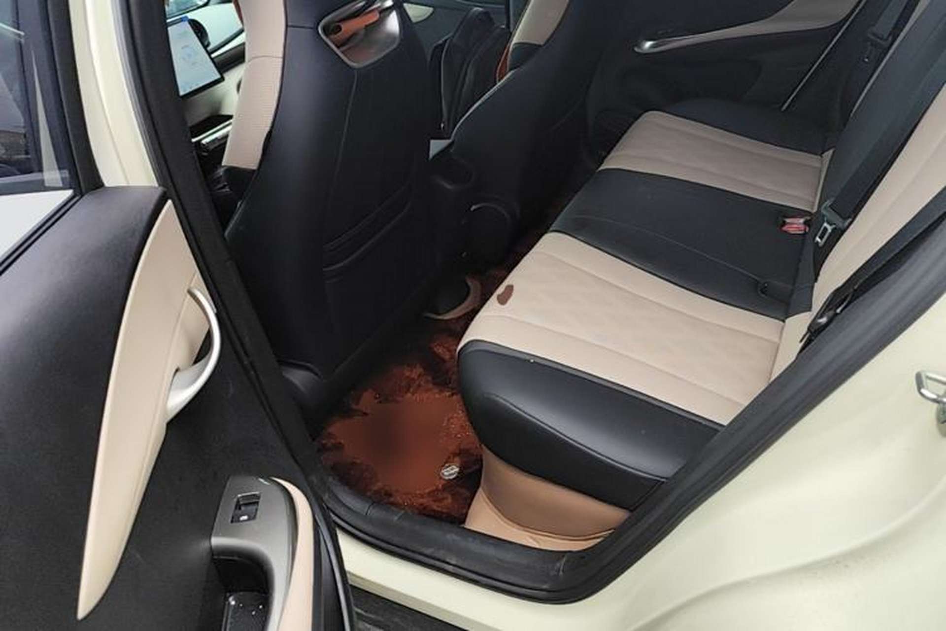 Used BYD Dolphin 2025 420km Free Edition Left Rear Seat