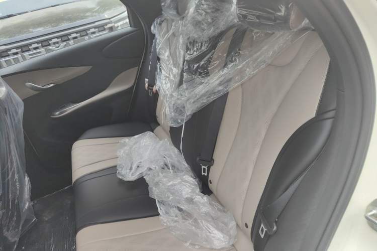 Used BYD Dolphin 2025 420km Free Edition Left Rear Seat