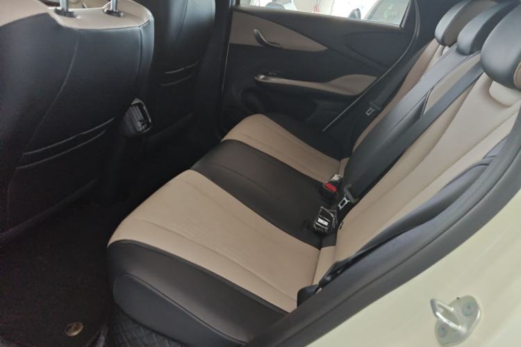 Used BYD Dolphin 2025 Smart Drive Version 420 km Freedom Edition Left Rear Seat
