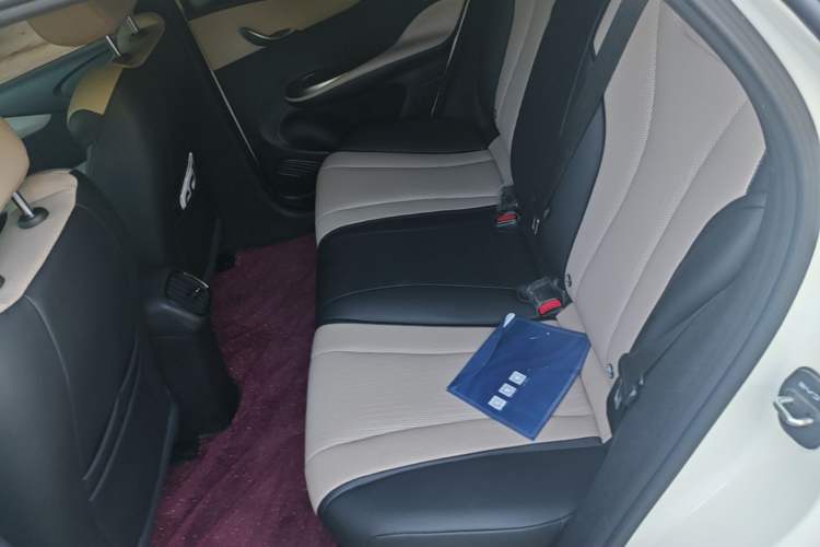 Used BYD Dolphin 2025 Smart Drive Version 420 km Freedom Edition Left Rear Seat