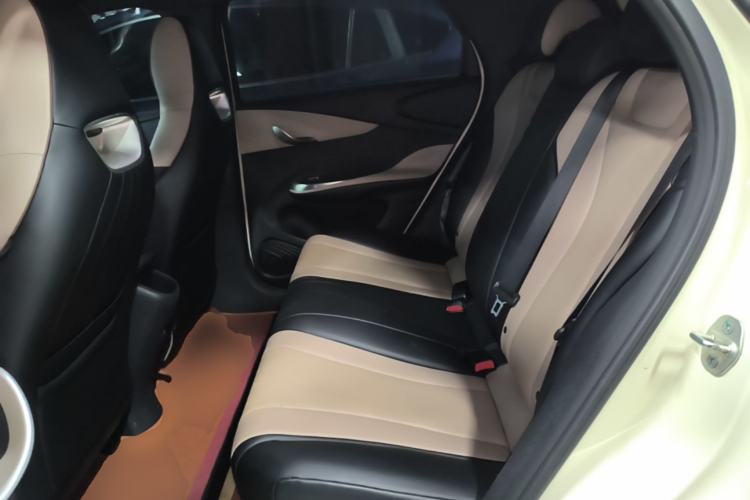 Used BYD Dolphin 2025 420km Free Edition Left Rear Seat