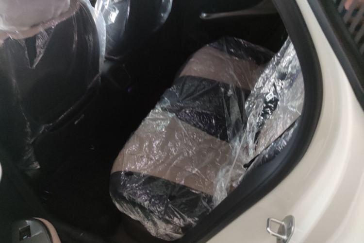 Used BYD Dolphin 2025 Smart Drive Version 420 km Freedom Edition Left Rear Seat