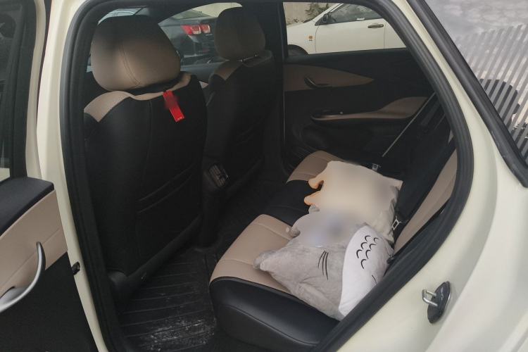 Used BYD Dolphin 2025 Smart Drive Version 420 km Freedom Edition Left Rear Seat