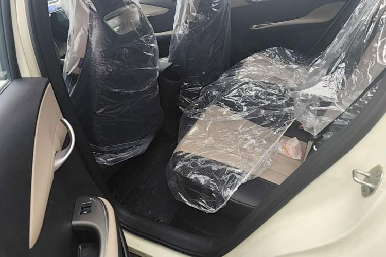 Used BYD Dolphin 2025 420km Free Edition Left Rear Seat