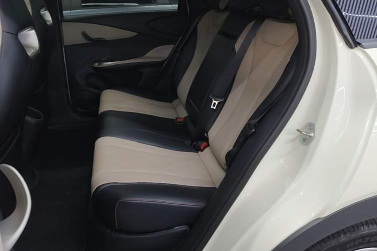 Used BYD Dolphin 2025 420km Fashion Edition Left Rear Seat
