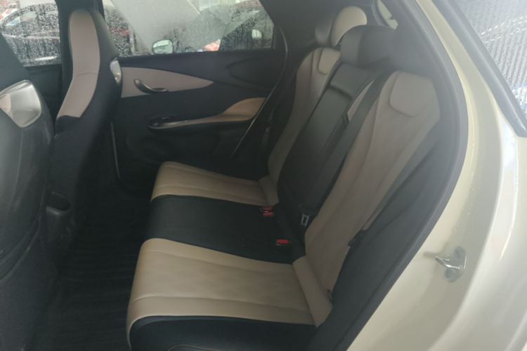 Used BYD Dolphin 2025 420km Fashion Edition Left Rear Seat