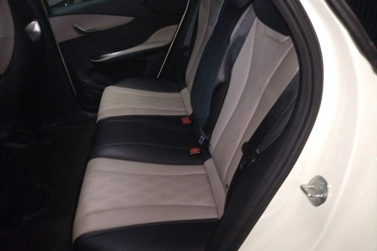Used BYD Dolphin 2025 420km Free Edition Left Rear Seat