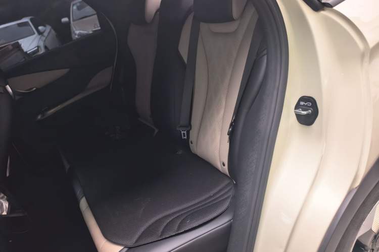 Used BYD Dolphin 2025 420km Free Edition Left Rear Seat