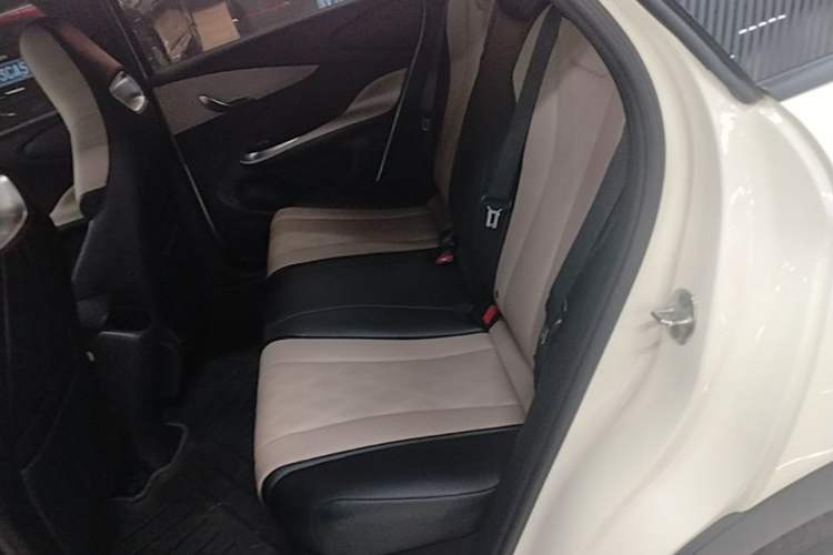 Used BYD Dolphin 2025 420km Free Edition Left Rear Seat