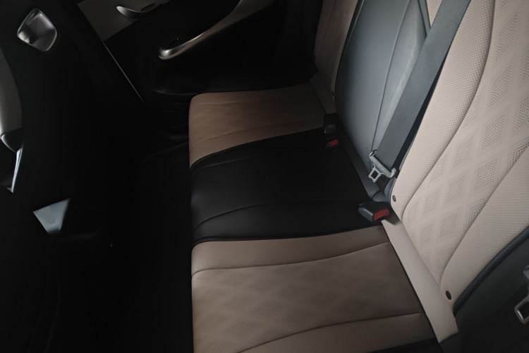 Used BYD Dolphin 2025 420km Free Edition Left Rear Seat