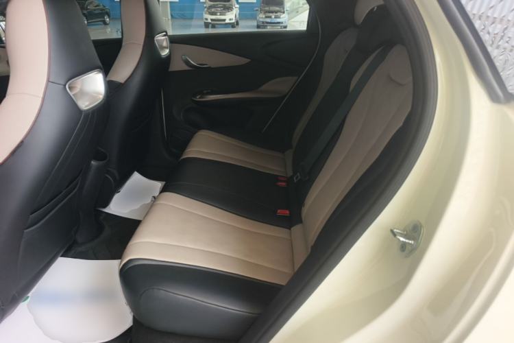 Used BYD Dolphin 2025 420km Active Version Left Rear Seat