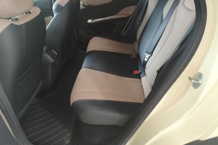 Used BYD Dolphin 2025 Smart Drive Version 420 km Freedom Edition Left Rear Seat