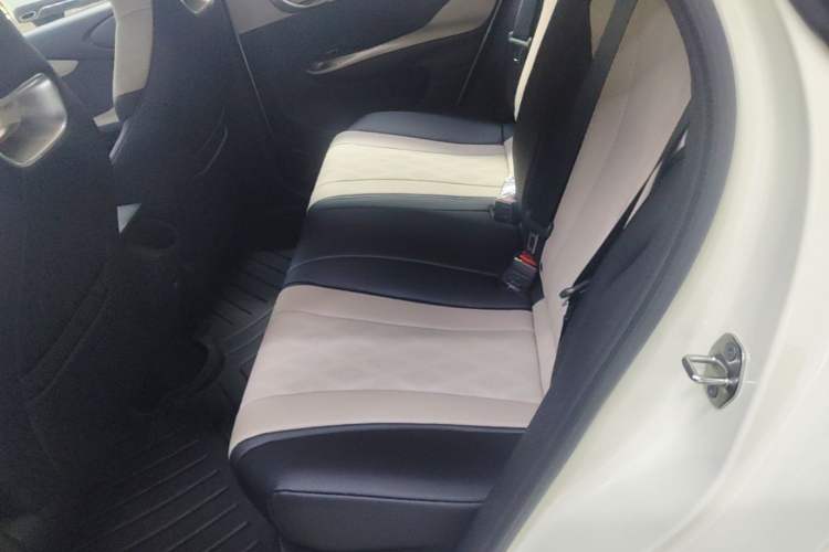 Used BYD Dolphin 2025 420km Free Edition Left Rear Seat
