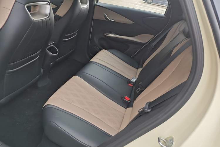 Used BYD Dolphin 2025 420km Free Edition Left Rear Seat